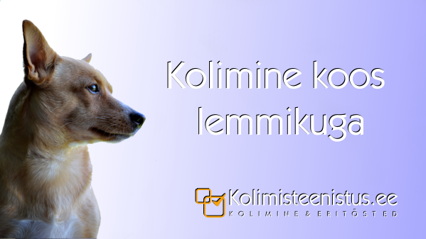 Kolimine lemmikloomaga